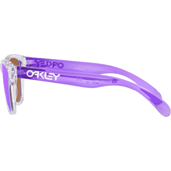 Oakley frogskins purple hotsell