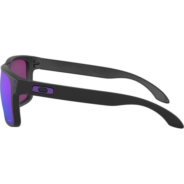 Holbrook purple top