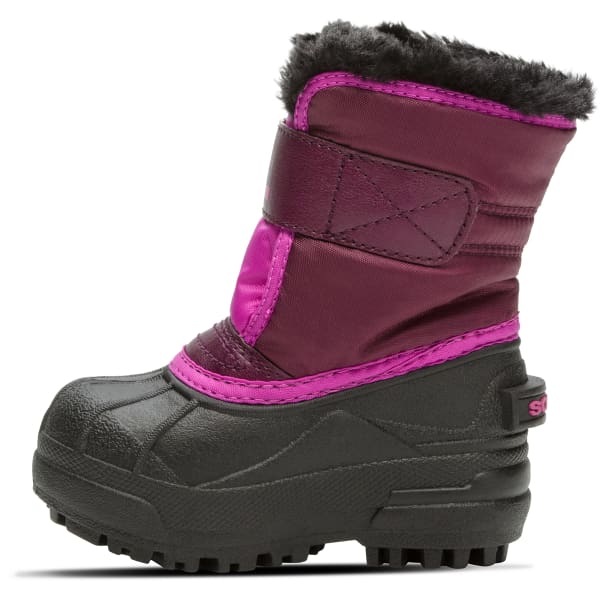 Sorel purple dahlia 2025