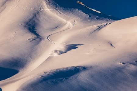Nordica Unleashed