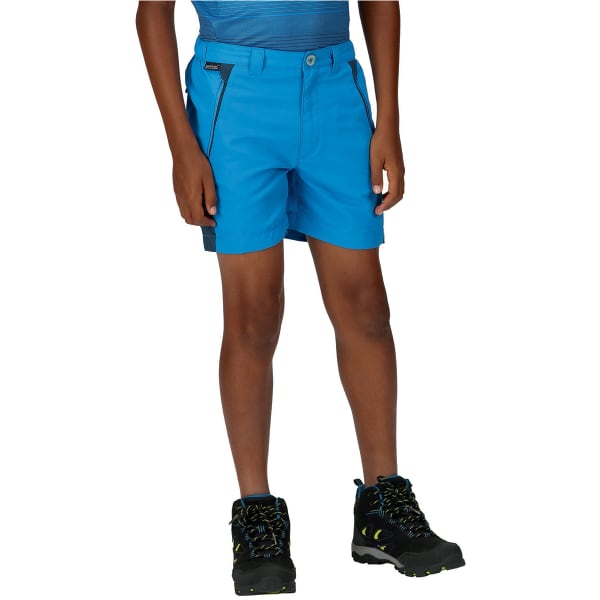REGATTA SORCER MOUNTAIN SHORT III INDIGO BLUE BLUE WING Hiking