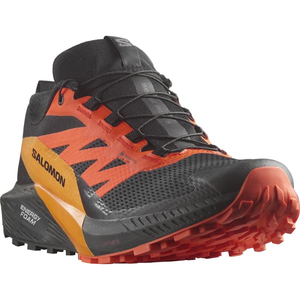 Salomon sense ride 10.5 2025