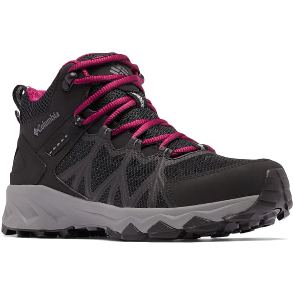 Columbia peakfreak titanium best sale