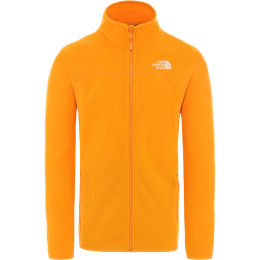 polaire the north face pas cher