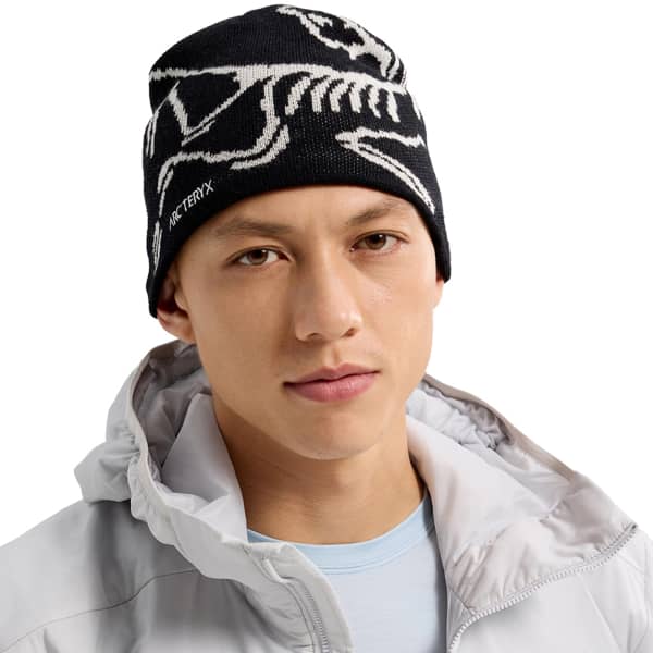ARC'TERYX-BIRD HEAD TOQUE ORCA - Ski touring ski headband hat
