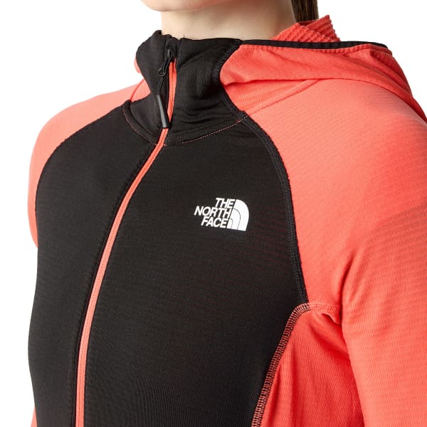 North face 2025 polartec hoodie