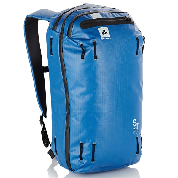 Sas ski baggage online