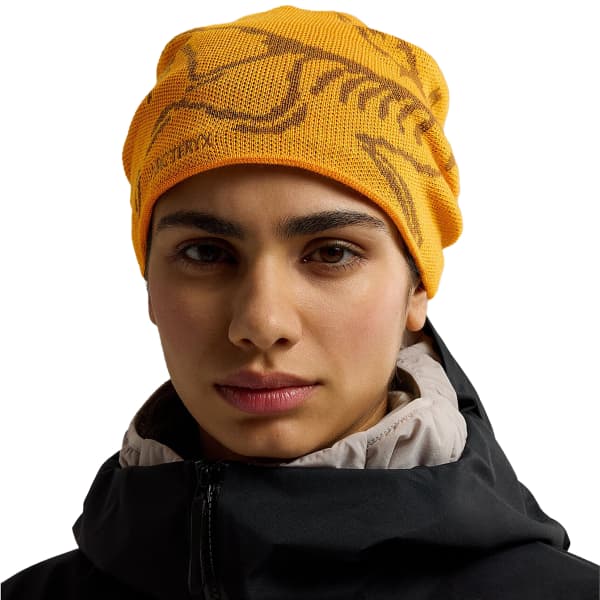 ARC'TERYX-BIRD HEAD TOQUE EDZIZA/RELIC - Ski beanie