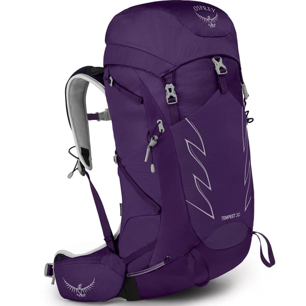 Osprey 30 backpack best sale