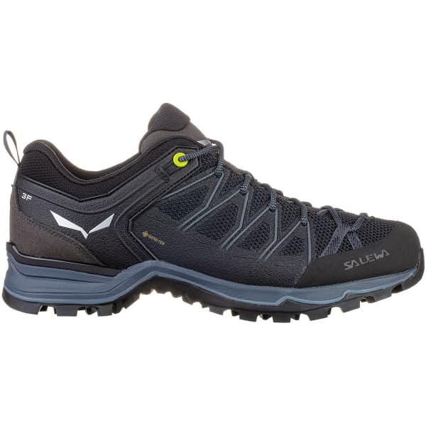 Salewa ms trainer gtx sales