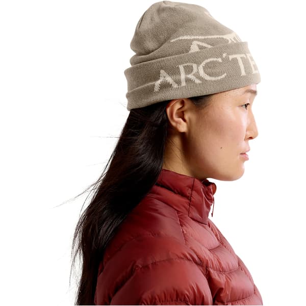 ARC'TERYX-BIRD HEAD TOQUE RUNE / ARCTIC SILK - Ski beanie