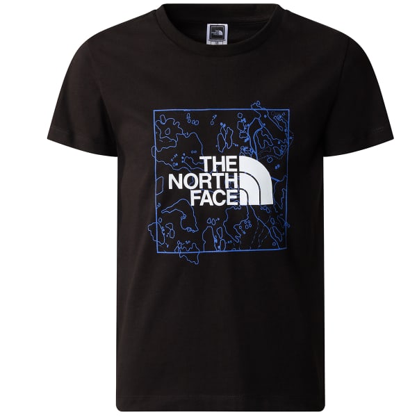 The north face graphic tee online