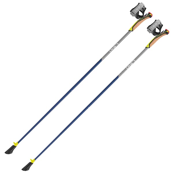 Pacer walking poles outlet