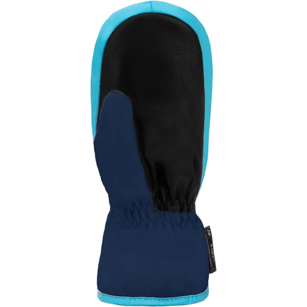 Ski BUTTON BLUE/BACHELOR Fäustlinge - REUSCH-BEN DRESS MITT