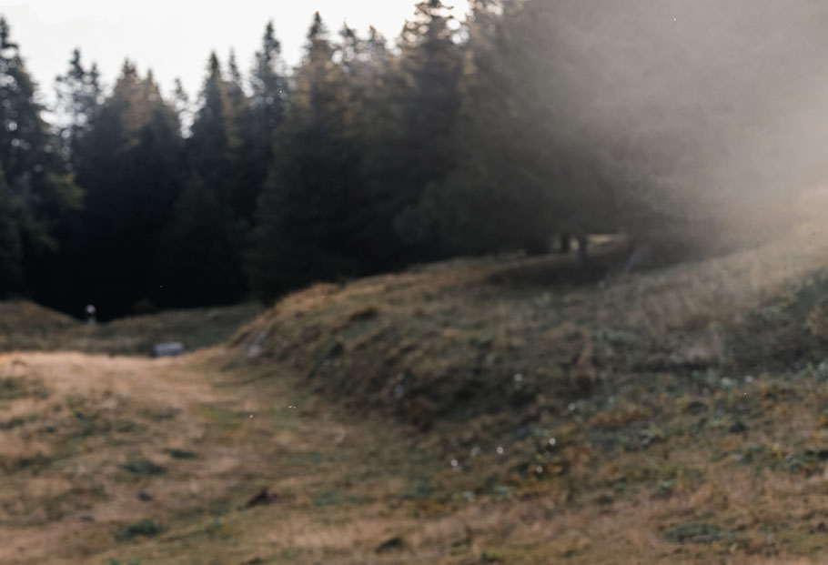 Background Martin Fourcade