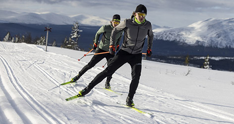 NOVELTIES Cross-country skis