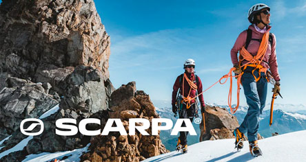 Scarpa