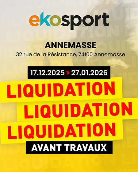 Liquidation annemasse