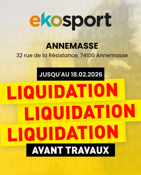Liquidation annemasse