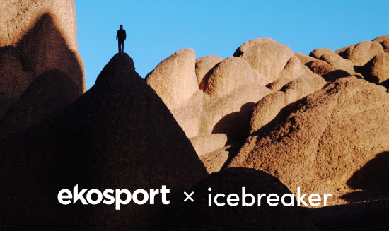 ekosport x icebreaker