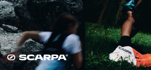 Scarpa