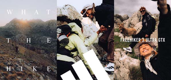 Terrex - FreeHiker 3