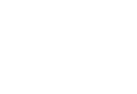 Canvas 100