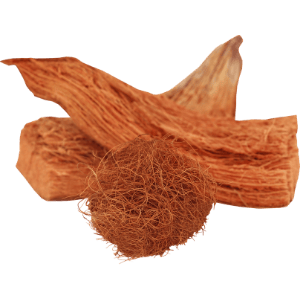 Coir Fibre