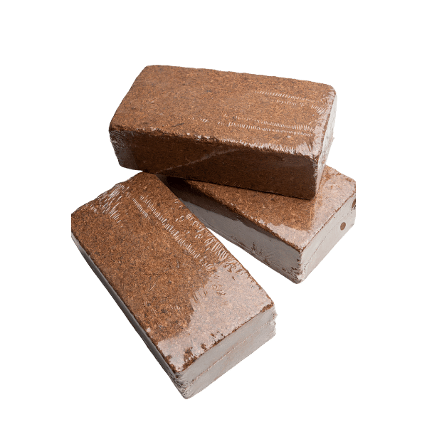 Production Management and Export Control for Coir Products from India