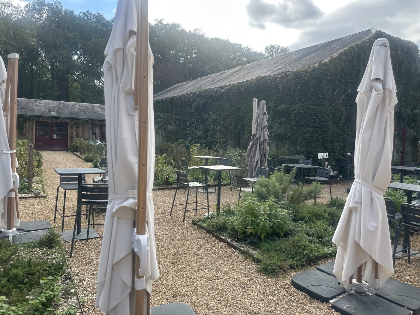 Der Kräuterhof des Loire Valley Lodges, Stehtische, geschlossene Sonnenschirme und Kräuter vor dem mit wildem Wein bewachsenen Bauernhaus