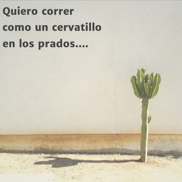 Frases de Animales - Quiero correr como un cervatillo en los prados....