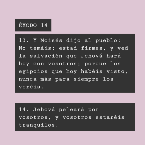 Crea Tu Frase – Frase #296340: ÉXODO 14 13. Y Moisés dijo al pueblo: No  temáis; estad firmes, y ved la salvación que Jehová hará hoy con vosotros;  porque los egipcios que