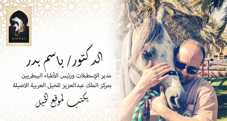 حمي غرب النيل