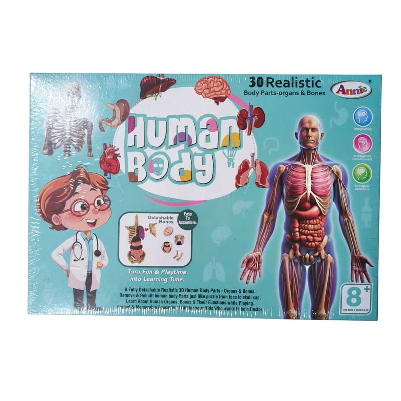 Human body – STR Trade India wholesale