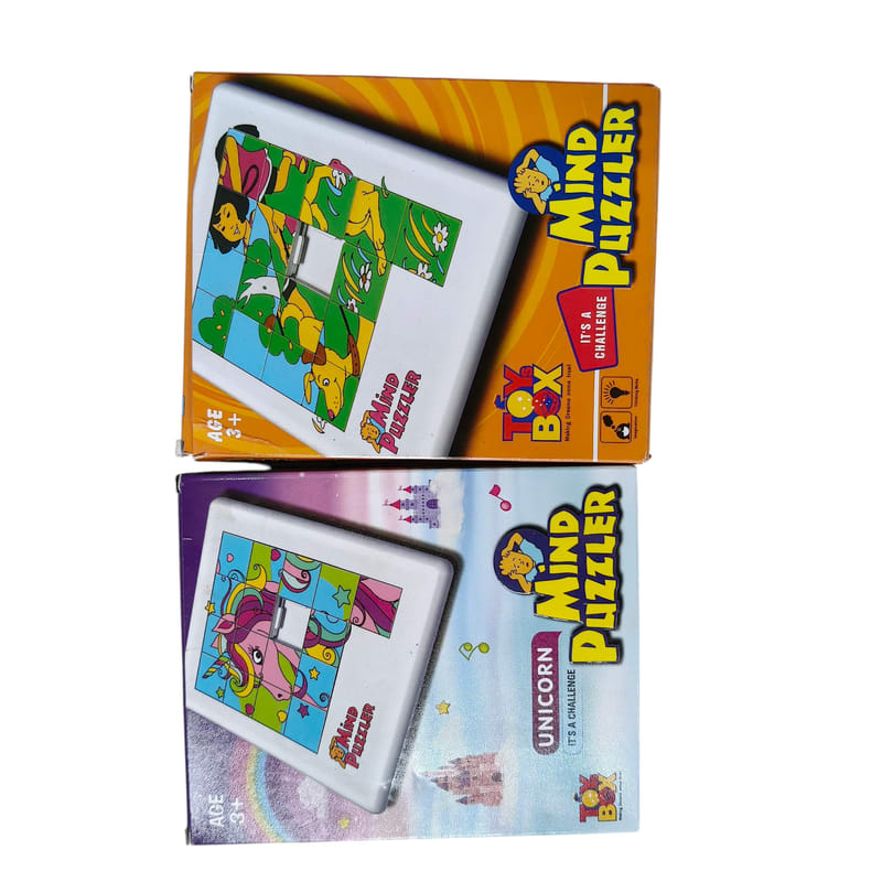 Mind Puzzle PR  – STR Trade India wholesale