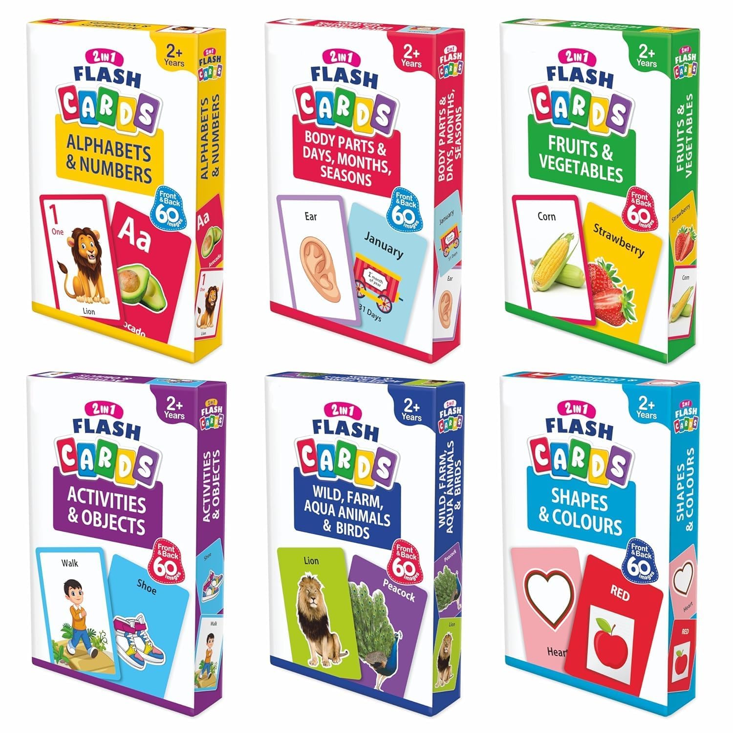 2in1 Flash Cards – STR Trade India wholesale