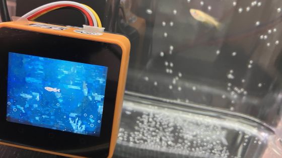 【世界初?】Spresense×M5Stackで愛魚をVtuber化-プライバシー完備の見守システム