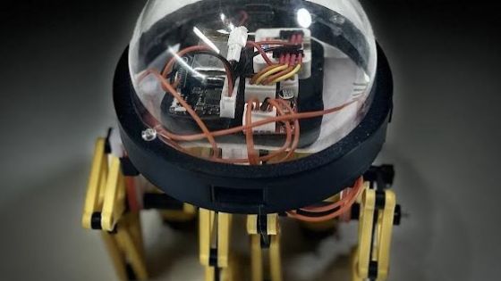 【SPRESENSE2024】動くテオ・ヤンセン機構【eNord通信】