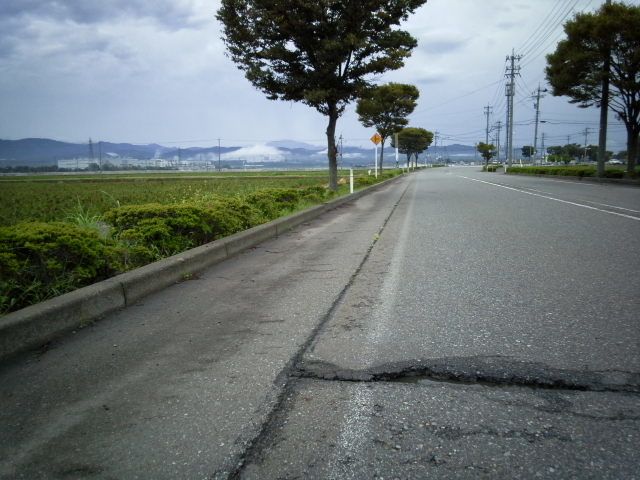 路面の凸凹・障害物を記録するデバイス（自転車用）