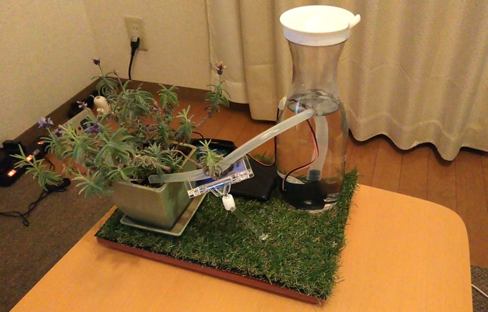 植物の自動水やりIoTシステム