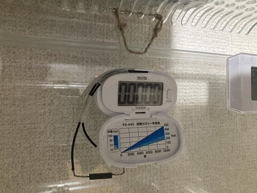 ハムスターの回し車の回転数を可視化しよう🐹