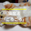 猫魔法「ごろごろ」
