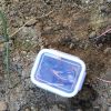 試作　家庭菜園で使う温湿度ロガー