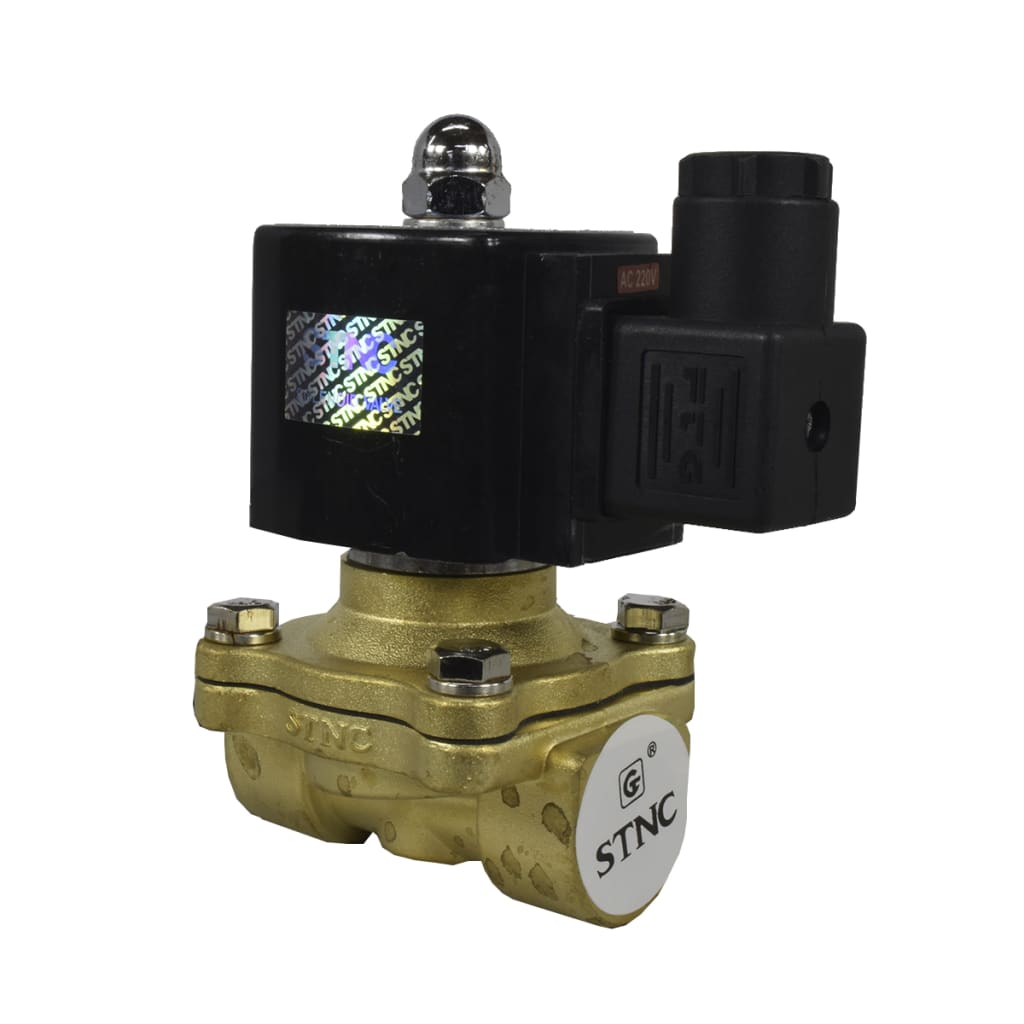 EV 1/2"NPT 220VAC 0-99.SPSI