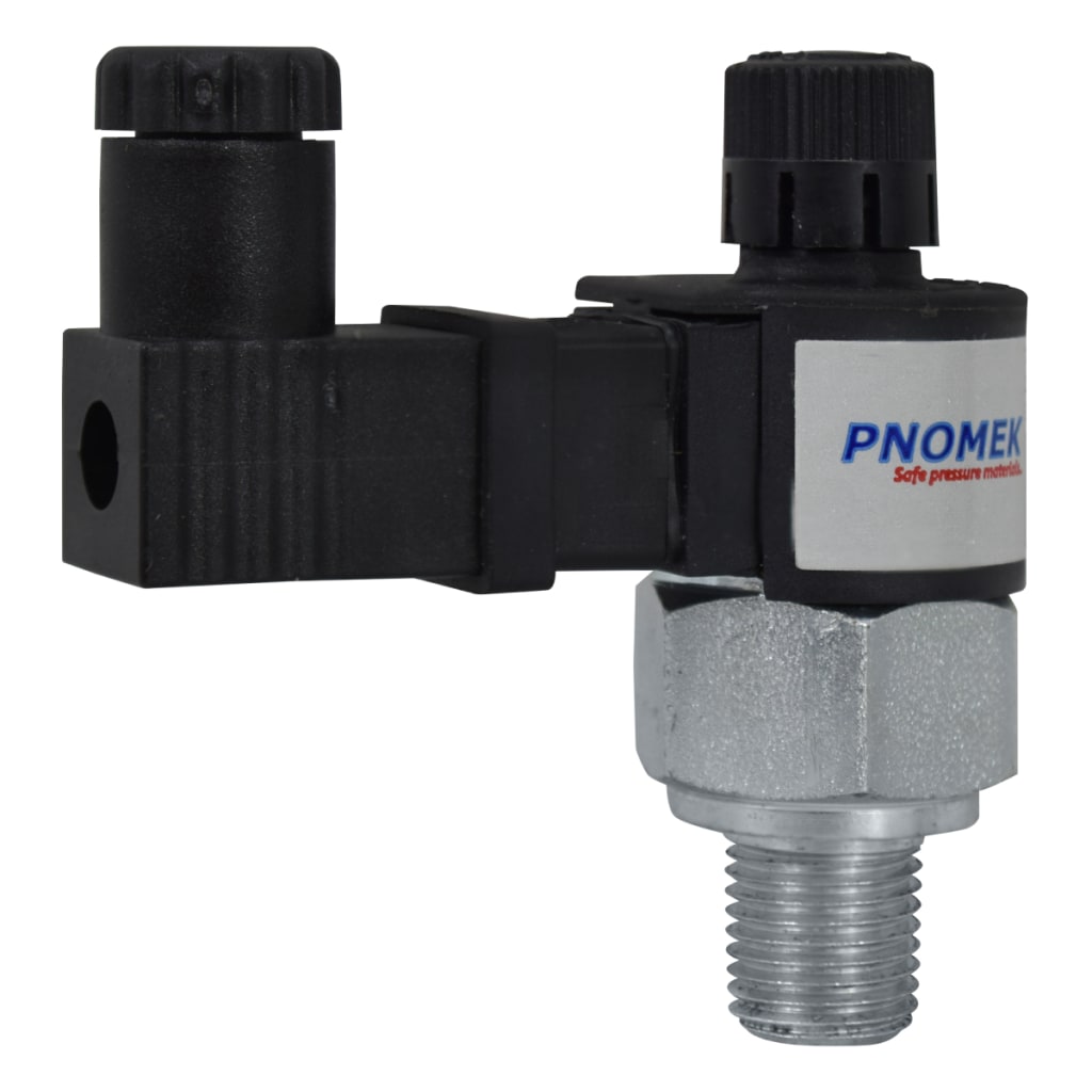 004 INT DE PRESION ADJ 5~100 BAR, 1NA+1NC, 1/4" NPT