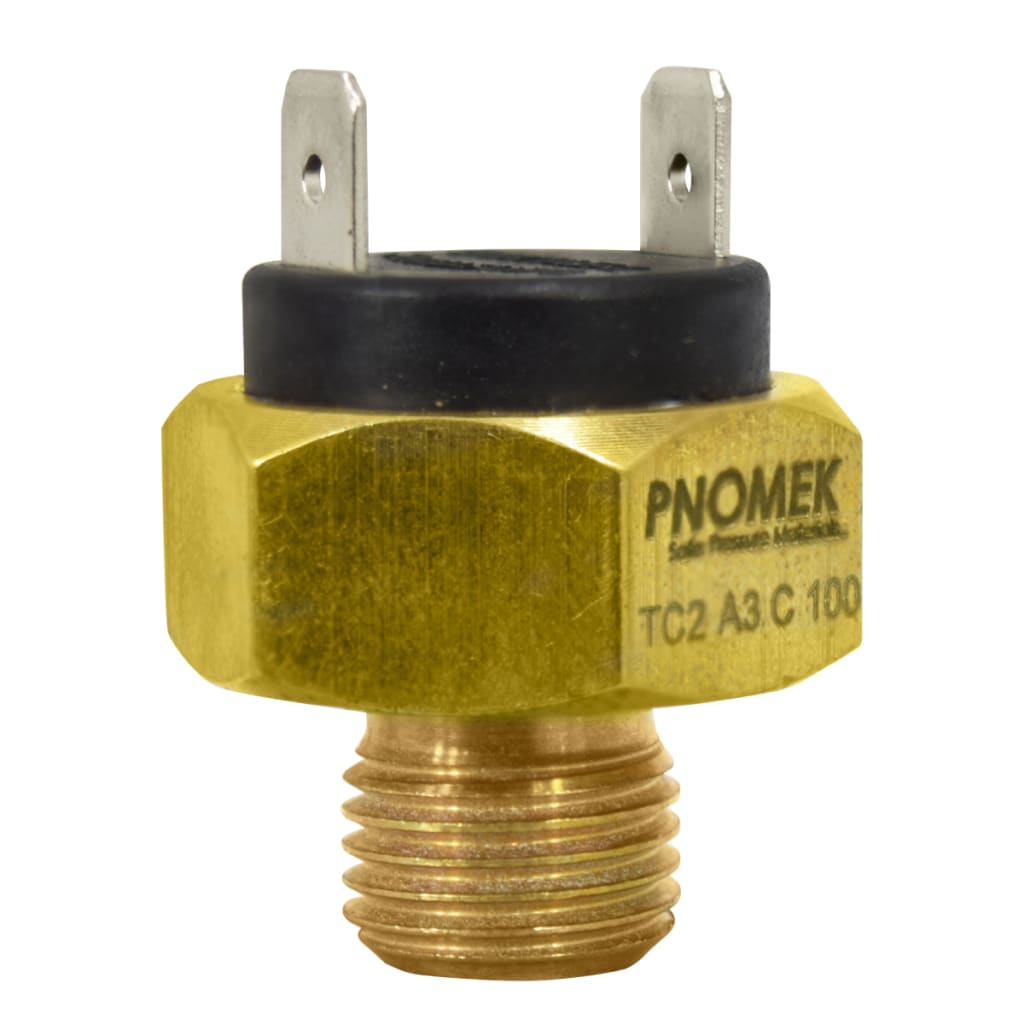 207 TERMOSTATO 100°C, NC FAST-ON, 1/4G