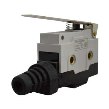MICSW PAL LARGA 10A/250 VAC IP54