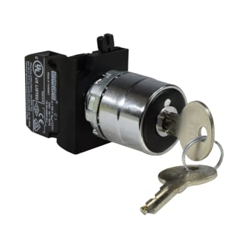 SELECTOR MULETILLA CON LLAVE 2 POS MET 1NA