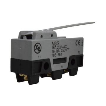 MICROSW KP PLCA LARG 15A/250V