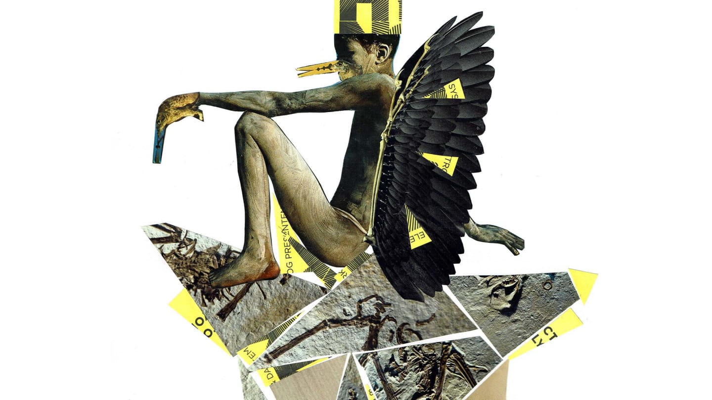 Lil Obeah from Transylvania